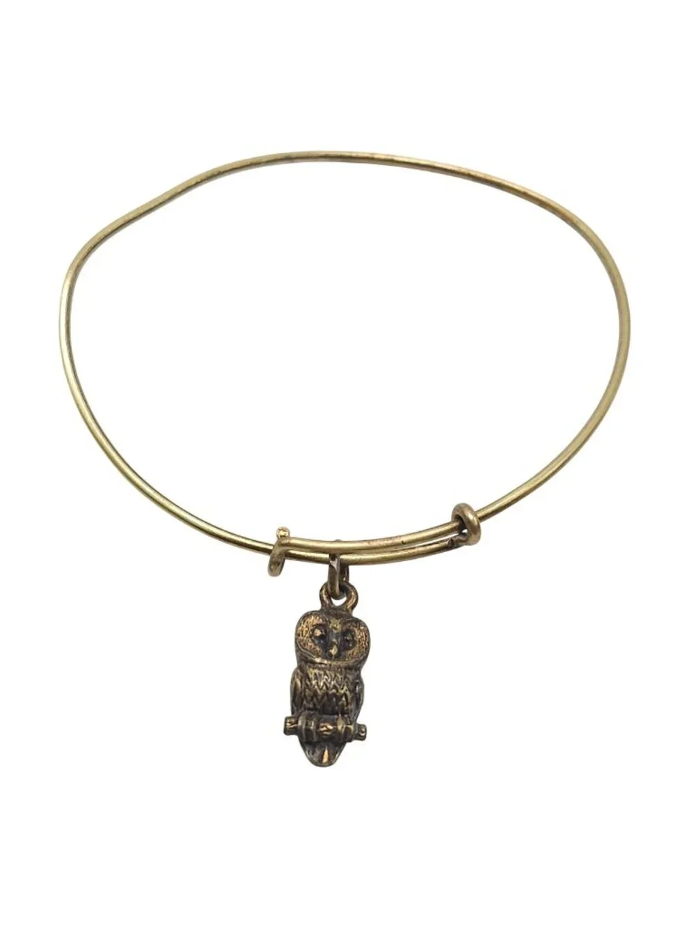 Alex and Ani Gold Tone Adjustable Bangle Bracelet With Owl Charm Pendant